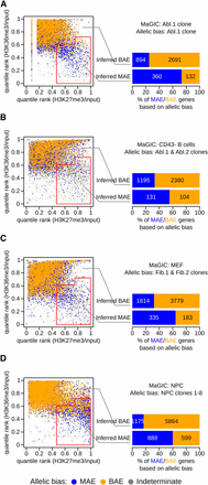 Chromatin signature is an informative proxy of mosaic monoallelic expression (MAE) in mouse cells from different lineages. (A) MAE state was inferred for genes with a particular combination of gene body signal for H3K27me3 and H3K36me3 ChIP-Seq, by applying the MaGIC pipeline in Abelson lymphoblast clone 1 from 129Sv/ImJ × CAST/EiJ F1 mouse (GSE67384; Table S1 and Table S2). Red line demarcates the area the classifier recognizes as being enriched with MAE genes (see Materials and Methods). Genes (represented as dots) are colored according to allelic expression analysis in the same clonal cell line: monoallelic (blue) or biallelic (gold) (Table S3). Genes with indeterminate allelic bias are shown as gray dots. The accuracy of the inference is summarized in the right panel, where genes are called monoallelic (blue) or biallelic (gold) on the basis of allele-specific analysis of RNA-Seq. (B−D) Same analysis as in (A), but with different sources of ChIP-Seq and RNA-Seq data, as indicated. (B) ChIP-Seq and RNA abundance data used in MaGIC pipeline were from CD43− B cells (GSE31039; Table S1 and Table S2), and allele-specific RNA-Seq analysis was performed on two independent clonal cell lines from 129Sv/ImJ × CAST/EiJ F1 mice: Abl.1 and Abl.2 (GSE67384; Table S1 and Table S3; see main text for details). (C) ChIP-Seq and RNA abundance data from MEF cells (GSE12241; Table S1 and Table S2); allele-specific RNA-Seq analysis on two fibroblast clonal lines from 129Sv/ImJ × CAST/EiJ F1 mice: Fib.1 and Fib.2 (GSE67384; Table S1 and Table S3; see main text). (D) ChIP-Seq and RNA abundance data from neuronal progenitor cells (GSE33252; Table S1 and Table S2); allele-specific RNA-Seq analysis on eight clonal neuronal progenitor cell lines from 129Sv/ImJ × CAST/EiJ F1 mice (GSE54016; Table S1 and Table S3; see main text).