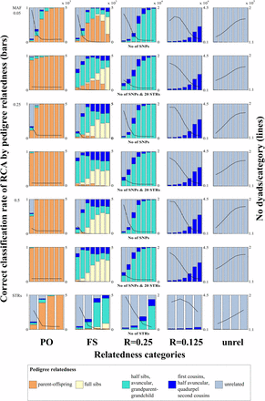 Promiscuity: correct classification rate of relatedness category assignment (RCA) in a promiscuous population (average over 10 simulations). Three different minor allele frequencies (MAF) for single-nucleotide polymorphisms (SNPs), seven different numbers of SNP loci (individual bars from left to right: 50, 100, 200, 400, 800, 1600, 3200), four different numbers of STR loci (from left to right: 10, 20, 40, 80), and a combination of SNP with 20 STR loci were simulated. On the left vertical axes, the proportion of the correct pedigree relatedness color in each category (PO: parent-offspring; FS: full sibs; unrel: unrelated) indicates the correct classification rate of the category-assignment based on the genetic loci. Other colors indicate source of erroneously assigned categories. The right vertical axes, and the lines in the subplots, indicate the number (No) of dyads that were assigned to each category (the true number of dyads can be inferred where almost 100% correct classification rates were achieved). The orders of magnitude at the top of the No dyads/category scale of the first row apply to all No dyads/category scales below it. Figure S1 and Figure S2 show the same plots for other mating systems. The variability between the 10 independent simulations is presented in Table S2.