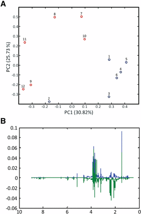 PCA results for the 1H NMR spectra of strain pnit-6_1.5 cultured on Gln (samples 1–6; blue) and nitrate (samples 7–12; red). (A) PCA scores. Although the samples within a treatment are not tightly clustered, clear segregation of the samples by treatments is observed in the scores plot. (B) PCA loadings. The loadings plot highlights the 1H NMR resonances that make the greatest contributions to sample variance in this data set. The loadings for PC1 are shown in blue, and those for PC2 are shown in green.