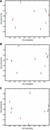 PCA scores plots comparing the 1H NMR spectra of ptcu-1_1.5 grown on media containing BCS (samples 1–5; blue) and CuSO4 (samples 6–10; red). (A) Scores plot calculated using the full NMR spectra. Sample segregation by treatment is observed along PC2 with the ptcu-1_1.5 (BCS) samples appearing at the top of the plot. (B) Scores plot for spectra with the regions containing the BCS resonances removed. Removal of the BCS resonances reduces the degree of segregation by treatment. (C) Scores plot calculated using only the spectral regions containing the BCS resonances. Performing the analysis using only the regions of the spectrum that contain the BCS peaks increases the segregation of the samples by treatment and indicates that the BCS peaks are primarily responsible for the sample segregation in (A), as confirmed by the loadings (data not shown).