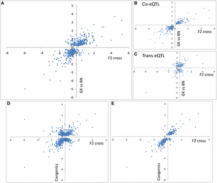 Correlation analysis of the effects of GK alleles on genome-wide gene expression in F2 hybrids and in inbred strains. The effects of GK alleles at statistically significant eQTLs (P-adjusted < 0.05) in the GK × BN F2 cross are plotted against expression ratio of corresponding genes significantly differential expressed (P-adjusted < 0.05) between GK and BN strains for all eQTLs (A) and cis- (B) and trans- (C) mediated eQTLs. The effects of GK alleles at eQTLs on gene expression regulation were compared in the F2 cross and in congenic strains for genome-wide gene expression data (D) and for genes mapped to congenic intervals (E). Details of differentially expressed genes between inbred strains and gene expression at eQTLs are given in Table S4.