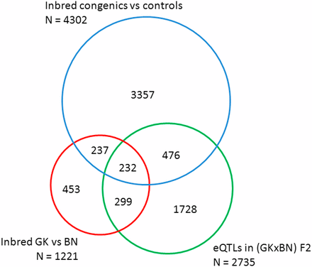 Summary of transcriptome results among inbred strains and eQTL data in GK × BN F2 hybrids. The number of statistically significant eQTLs (green circle) and differentially expressed genes between GK and BN (red circle) and between congenics and controls (blue circle) are reported. Concordant data between the different experimental groups correspond to genes showing consistent allelic effects on the direction of expression changes.
