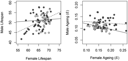 Scatterplot of male and female X- and A-line means for lifespan and aging. Light gray points and solid lines represent the X chromosome, and dark gray points and dashed lines represent the autosomes. The plot is scaled such that the steepness of the regression slopes reflects the strength of the correlation.