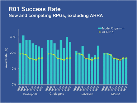 Analyses conducted by the National Institute of Health’s Office of Portfolio Analysis show that the award rates for Research Project Grants (R01s) involving key model organisms have remained steady and, in some cases, are increasing when compared to all R01s. ARRA stands for American Recovery and Reinvestment Act of 2009.