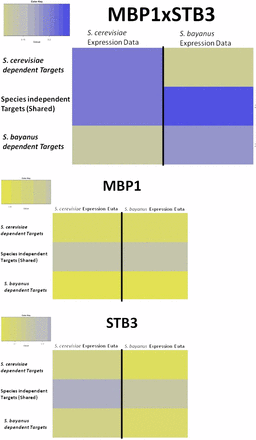 Expression profile similarity between gene sets for each species. Predicted genes regulated by MBP1 and STB3 CREs (top) for both species and all three gene sets (A, B, C), for MBP1-only predicted genes (middle) and for STB3-only predicted genes (bottom).