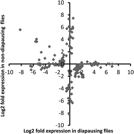 Plot of log2 fold changes for all contigs found to be DE in response to increasing day length in diapausing and nondiapausing flies. DE, differentially expressed.