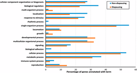 Percentage of DE genes annotated with Level 2 GO terms in nondiapausing and diapausing flies in response to a shorter day length. DE, differentially expressed; GO, gene ontology.