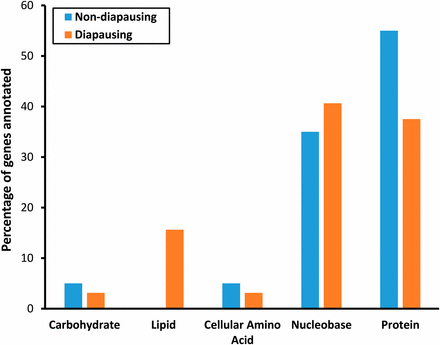 Percentage of genes annotated for each of the primary metabolic processes for nondiapausing and diapausing flies.