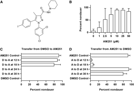 The cannabinoid (CB) receptor antagonist AM251 suppresses dauer formation. (A) Structure of the CB1 receptor antagonist/inverse agonist AM251. (B) AM251 promotes reproductive growth in daf-2(e1371) mutants at 25° in a dose-dependent manner. (C) daf-2(e1368) worms raised on DMSO (D, dimethyl sulfoxide) and transferred to AM251 (A) up to 24 hr after the egg lay develop into reproductive adults, while worms transferred at 24 hr, or later, are committed to dauer formation and AM251 has no effect. (D) daf-2(e1368) worms raised on AM251 (A) and transferred to DMSO (D) up to 24 hr after the egg lay develop into dauers while worms maintained on AM251 for 24 hr or 30 hr and then transferred are committed to reproductive growth and the absence of AM251 has no effect.