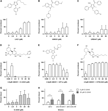 Other CB receptor agonists and antagonists influence dauer formation in daf-2 mutants. (A–C) CB receptor antagonists promote reproductive growth in daf-2(e1368) at 25°: (A) LH21 is a silent CB1 antagonist. (B) AM630 is a selective CB2 antagonist. (C) URB447 is a mixed central CB1 receptor antagonist/peripheral CB2 agonist. (D) The growth-promoting effect of 2.5 µM AM251 in daf-2(e1368) is inhibited by the presence of the nonselective CB1/CB2 agonist O-2545. (E) The growth-promoting effect of 2.5 µM AM251 in daf-2(e1368) is partially inhibited by the presence of the CB2 selective agonist GP1a. (F) The growth-promoting effect of 2.5 µM AM251 in daf-2(e1368) is not affected by the presence of the nonselective CB1/CB2 agonist CP55,940. (G) O-2545 alone promotes dauer formation in daf-2(e1368) at the semipermissive temperature of 23.6°. (H) Induction of dauer formation by 25 µM O-2545 in daf-2(e1368) at 23.6° is not affected by deletion of the ascaroside receptors srbc-64 and srbc-66. Pairwise comparisons are indicated: *** P < 0.001. CB, cannabinoid; CON, control.