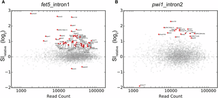 Relative splice index measurements in deletion strains. The relative splice index for fet5_intron1 (A) or pwi1_intron2 (B) is plotted as a function of read count for each of the ∼3000 strains examined. Strains that significantly differed from wild type after multiple hypothesis correction are colored red and labeled. A total of 61 strains were identified as having a significantly different splice index measurement for either fet5_intron1 or pwi1_intron2.