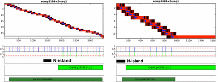 Flanking N islands can truncate a gene model. Diagrams as in Figure 5. Two Phytozome transcript models with flanking N islands are shown, Cre06.g293582.t1.1 and Cre09.g408851.t1.1 (light green bars). The Trinity objects comp2196_c0_seq1 and comp3488_c0_seq1, respectively, align to the body to the Phytozome transcripts, and extend into the N islands (represented by black bars). The Trinity sequence in the extensions (unaligned to Chlamydomonas sequence) can be aligned by Blastx to Volvox proteins (dark green bars).