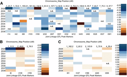 Heat map of additive effects for PCs QTL. The top horizontal axis lists the chromosome number and genetic map position for each QTL, while the bottom horizontal axis displays the QTL peak SNPs marker selected by linkage analysis. The vertical axis shows 10 NIL populations in order. Allelic affects are color coded with 2.00 increments for PC1 (A), and 0.50 increments for PC2 (B) and PC3 (C). n.d. indicates that allelic effects could not be determined, as there were no NILs carrying an introgression at the QTL. NIL, introgression line; PC, principal component; QTL, quantitative trait loci; SNP, single nucleotide polymorphism.