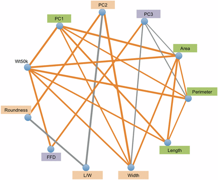 Pleiotropy for kernel traits in maize-teosinte NILs populations. Gray and orange lines between traits indicate negative and positive correlations between different QTL additive effects, respectively, with line width proportional to the degree of pleiotropy. FDR = 0.05 (raw P-value = 0.0083) was used as the significance threshold for effect correlation. FFD, factor form density; L/W, length/width; NILs carrying an introgression at the QTL. NIL, introgression line; PC, principal component; QTL, quantitative trait loci; Wt50k, weight of 50 kernels.