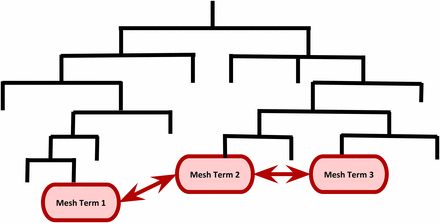 A cartoon illustrating semantic similarity among MeSH terms in the MeSH hierarchy. The semantic similarity measure between Mesh Term 2 and Mesh Term 3 is greater than that of Mesh Term 1 and Mesh Term 2 because they are closer in the hierarchy.