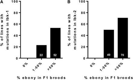 Broods with a high percentage of co-CRISPR marker e are highly enriched for mutations in lbk. We plot broods from the F1 generation in three groups (0% ebony, 1–50% ebony and >50% ebony) against the percentage of F1-derived balanced with lbk-1 (A) and lbk-2 (B) mutations. We observed a strong correlation between the percentage of e in F1 broods and mutations in lbk target sites (P < 0.05 for lbk-1 and P < 0.01 for lbk-2; Pearson correlation: r2 = 0.21 for lbk-1 mutants, r2 = 0.32 for lbk-2 mutants). Total numbers of lines sequenced for lbk-1 were 24 (0%), 54 (1–50%), and 42 (>50%), and 24 (0%), 51 (1–50%) and 40 (>50%) for lbk-2.