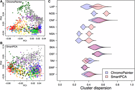 (A and B) The first and second principal components of genetic structure given by ChromoPainter (A) and SmartPCA (B) with individuals colored according to provinces of Figure 1. (C) For each province, the violin plots show how dispersed, as measured by the sample variance, the individuals from that province are in A and B compared to a random set of similar size (Materials and Methods).