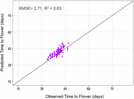 QTL-EC model evaluation by predicting TF for 100 RILs grown in 2016 at Citra, FL (CIT_16). The predicted values were obtained using the QTL-EC model (QTL + environmental covariates model). The parameter estimation process did not included Citra, FL 2016 (CIT_16) data.