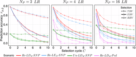 Average prediction accuracy rg,g^ under recurrent genomic selection across C=0,1,…,10 selection cycles for synthetics produced from Np=2,4,16 parents taken from ancestral population LR. Selection of candidates was based on either true breeding values (TBV), random breeding values (RBV), or estimated breeding values (EBV). LDA, ancestral linkage disequilibrium; LEA, ; LR, long-range linkage disequilibrium; Ped, pedigree; Re, related; SNP, single nucleotide polymorphism.