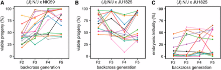 The JU1825 cytoplasm is heteroplasmic for JU1825-like and NIC59-like alleles. (A) The viability of independent (J); N/J female × NIC59 male backcross lineages was followed until the F5 generation. Surprisingly, in some lineages, multiple generations of backcrossing resulted in increased viability (similar to that seen in intrastrain crosses). Number of independent backcross lineages assayed per generation: F2 = 15, F3 = 15, F4 = 14, F5 = 14. (B) The viability of independent (J); N/J female × JU1825 male backcross lineages was also followed until the F5 generation. Interestingly, multiple generations of backcrossing resulted in some lineages with significantly reduced viability, similar to that seen in (N); N/J F1 female × JU1825 male crosses. Number of independent backcross lineages assayed per generation, F2–F5 = 14. (C) Embryonic lethality of the same (J); N/J female × JU1825 male backcross lineages from (B) (with same color-coding). Upon additional generations of backcrossing, some (J); N/J female × JU1825 male lineages exhibit ∼50% embryonic lethality, similar to (N); N/J F1 female × JU1825 male crosses. These results are consistent with the hypothesis that the JU1825 cytoplasm is heteroplasmic and contains JU1825-like and NIC59-like alleles.