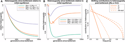 The response of heterozygosity at sites under purifying selection to a prolonged bottleneck. In each panel, N0 corresponds to the population size at the start of the trajectory (before the bottleneck) and N1 to the population size after the bottleneck. (A) The response of heterozygosity to a population bottleneck for selection coefficients that are neutral or nearly neutral throughout. (B) Heterozygosity trajectories for selection coefficients that are strongly deleterious before the bottleneck and nearly neutral afterward. (C) How the total heterozygosity is distributed across different frequency alleles by plotting the contribution to heterozygosity (x(1−x)f(x)) at different time points in (TA,TB,TC) for the orange trajectory from B. Integrating over the contributions to heterozygosity from zero to one gives the total expected heterozygosity. The frequency spectrum shifts from being strongly deleterious before the bottleneck to nearly neutral afterward. The initial loss of variation at low frequency (times TB,TC) is not immediately compensated for by increased variation at higher frequency as would occur at equilibrium. The difference between the time it takes to lose rare variants and the time it takes to accumulate variants at higher frequencies explains the heterozygosity dip and recovery in B.