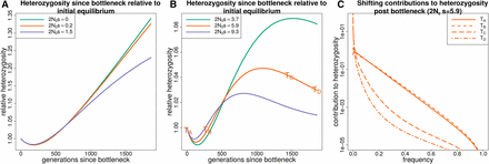 The response of heterozygosity at sites under purifying selection to a bottleneck followed by exponential growth. (A and B) The response of heterozygosity to a bottleneck of about 50% followed by exponential growth. N0 corresponds to the population size at the start of the trajectory (before the bottleneck). Heterozygosity initially drops due to the bottleneck, regardless of selection coefficient, but begins to increase as the population size grows. When the population size becomes large relative to the selection coefficient, heterozygosity overshoots the equilibrium value that it would approach for mutation-selection balance. (C) How the total heterozygosity is distributed across different frequency alleles by plotting the contribution to heterozygosity (x(1−x)f(x)) at different points in time (TA,TB,TC,TD) for the orange trajectory in B. This demonstrates how the contribution to heterozygosity shifts toward lower frequency alleles as the population size grows.