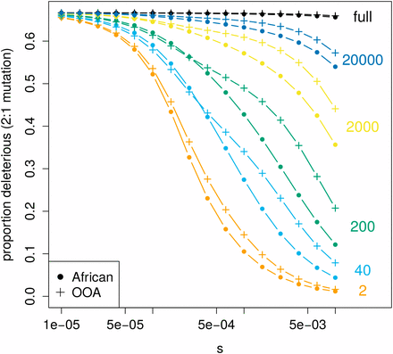 Expected current differences in PN/PT at different sample sizes. The expected PN/PT decreases as s gets larger, but how this happens is dependent on the number of sampled chromosomes (shown on the right). Notice the range of s and sample size for which the expected PN/PT is actually greater in the African population model than in the OOA one (dots are slightly higher than crosses). The ratio of deleterious to neutral mutations is assumed to be two to one.