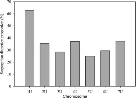 Proportion of significantly distorted markers (p ≤ 0.01) of SNP markers placed on the high density consensus map for each chromosome.