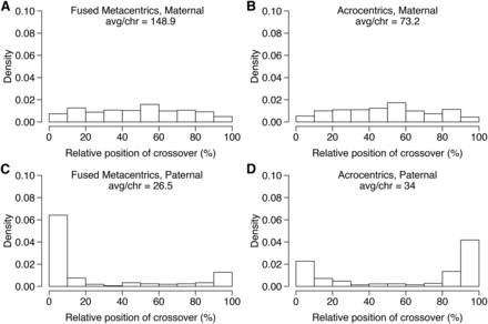 Maternal and paternal cumulative crossover positions across the chromosomes. The position of each crossover is expressed as a percent of the total crossover length and cumulated for all crossovers within each chromosome type, specifically fused metacentric chromosomes (A and C), and acrocentric chromosomes (B and D) in the maternal and paternal haplotypes, respectively. Maternal haplotypes had 2.7-fold more crossovers than paternal haplotypes, with the maternal crossovers occurring throughout the chromosome and the paternal crossovers restricted mainly to the first and/or last 20% of the linkage groups. avg/chr, average/chromosome.