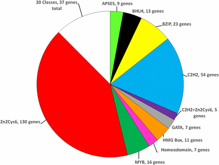 Relative distribution of N. crassa transcription factor genes into major classes. Each “slice” of the pie represents the fraction of mutants with the indicated domain. The number of mutants with each domain is indicated. The MISC (Miscellaneous) group includes the 20 domain classes with four or fewer members (see Table 1).