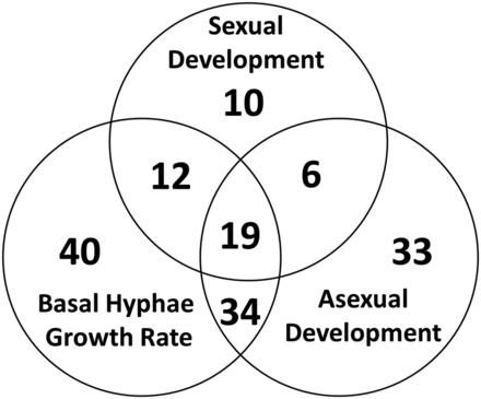 Venn diagram summary of mutants with growth and developmental phenotypes. The total number of mutants with the indicated phenotype or combination of phenotypes is shown in each lobe of the Venn diagram.
