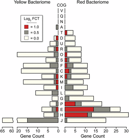 Clusters of orthologous genes (COG) enrichment for each fold change threshold (FCT) of differentially expressed Baumannia genes (see inset legend). COG categories are as follows: A, RNA processing and modification; B, chromatin structure and dynamics; C, energy production and conversion; D, cell cycle control and mitosis; E, amino acid metabolism and transport; F, nucleotide metabolism and transport; G, carbohydrate metabolism and transport; H, coenzyme metabolism; I, lipid metabolism; J, translation; K, transcription; L, replication and repair; M, cell wall/membrane/envelop biogenesis; N, cell motility; O, post-translational modification, protein turnover, and chaperone functions; P, inorganic ion transport and metabolism; Q, secondary structure; T, signal transduction; U, intracellular trafficking and secretion; Y, nuclear structure; Z, cytoskeleton; R, general functional prediction only; S, unknown (Tatusov et al. 2003).
