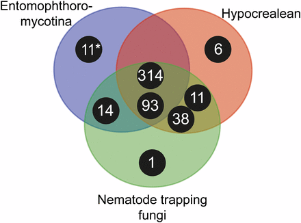 Venn diagram showing taxonomic distribution of subtilisin-like serine protease clusters of major insect and nematode-pathogenic fungal genera. Black circles correspond to clusters with number of S8A proteases for each cluster, and the placement within the Venn diagram correspond to the taxonomic groups contributing sequences to a specific cluster. The asterisk (*) marks the 11 members of the new bacillo-peptidase like cluster C described within the order Entomophthorales (subphylum: Entomophthoromycotina). Entomophthoromycotina encompasses SLSP’s found in the genera: Basidiobolus, Conidiobolus, Entomophthora, and Pandora. Hypocrealean entities consist of SLSP’s in the MEROPS database from the genera: Cordyceps, Metarhizium, Ophiocordyceps, and Nematode trapping fungi are MEROPS SLSP’s found in the genera: Arthrobotrys and Monacrosporium.
