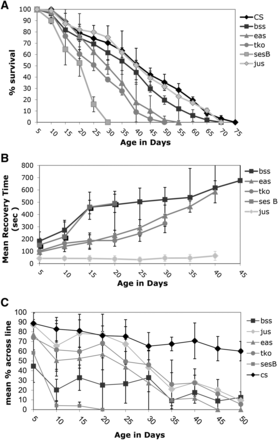 Lifespan and age-related phenotypes for bang sensitive mutants. A) Lifespan B) Mean Recovery Time C) Climbing ability . All error bars are presented as standard deviations.