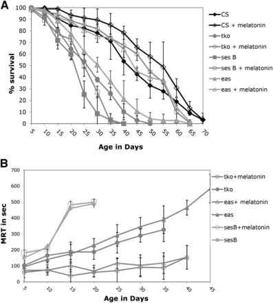 Lifespan and age-related phenotypes for selected bang sensitive mutants with melatonin supplementation. A) Lifespan B) Mean Recovery Time. All error bars are presented as standard deviations.
