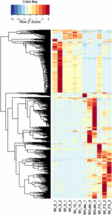 Heatmaps of host gene expression: infected male plant comparisons. fdr <1e−2, 2254 genes. MI, infected male plants at stages indicated.