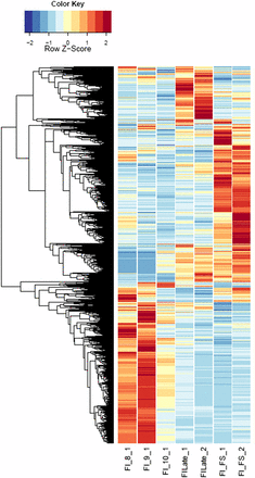 Heatmaps of host gene expression: infected female plant comparisons. fdr <1e−2, 9629 genes. FI, infected female plant at stages indicated.