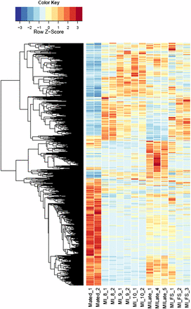 Heatmaps of fungal gene expression in infected male plant comparisons From all comparisons, 3496 genes. MI, infected male plants at stages indicated.
