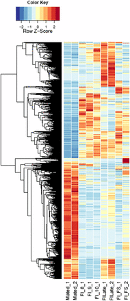 Heatmaps of fungal gene expression in infected female plant comparisons From all comparisons, 2724 genes. FI, infected female plant at stages indicated.