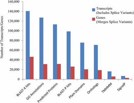 Distributions of various transcriptome annotations for Poeciliopsis prolifica reference transcriptome predicted transcripts (blue) and alternatively-spliced variant groups, representing “genes” (red). 140,709 transcripts (29.4% of total) exhibited identifiable homology (e-value < 1 × 10−5) with protein reference sequences in the NCBI nr database and another 29,199 (6.1%) transcripts showed similarity (e-value < 1 × 10−5) with nucleotide reference sequence in the NCBI nt database. 16,277 (11.6%) and 6,772 (4.8%) transcripts are associated with transmembrane (TMHMM) and signaling (SignalP) proteins. 8,181 showed greater than 70% coverage of known UniProtKB/Swiss-Prot orthologs; 3,785 transcripts were identified as containing the complete ORFs of conserved orthologs in UniProtKB/Swiss-Prot database (Table S2).