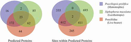 Venn diagrams showing patterns of shared and unshared proteins and sites within protein under positive selection among the three foreground taxon groupings tested with PAML.