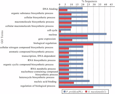 Distribution of GO Terms that were differentially represented in genes identified to be under positive selection in the matrotrophic/placental (PL) Poeciliopsis prolifica and lecithotrophic (LC) Xiphophorus maculatus. GO terms include categories from all three main ontologies (Biological Processes; Molecular Functions; Cellular Components).