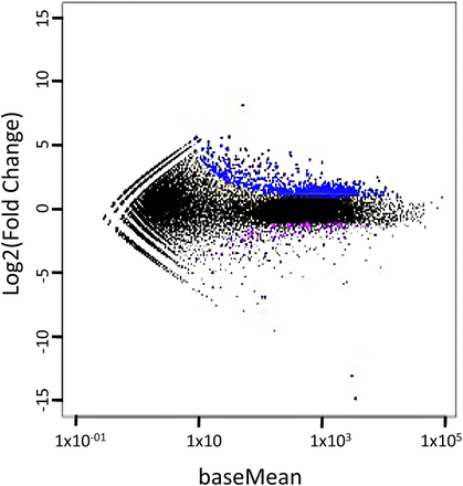MA plot showing the log2 Fold change vs. the baseMean (normalized average expression), as calculated by DESeq (Anders and Huber 2010). Genes which are more highly expressed in +ACE treatment are shown in blue whereas those more highly expressed in −ACE treatement are shown in purple. The majority (88%) of differentially expressed genes were more highly expressed in ACE treated gametophytes.