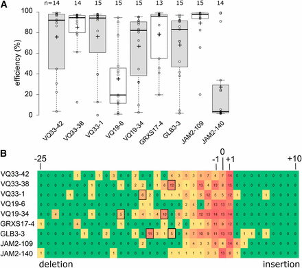 High gene editing efficiency in Arabidopsis T1 generation. A, boxplots showing TIDE estimated editing efficiencies for up to 15 T1 plants for nine different sgRNAs. +, mean; horizontal line, median; open circles, individual data points. B, heat map showing the number of T1 plants with at least 1% estimated frequency of an indel of a given size. Boxed are larger deletions (> 6 bp) observed in 5 or more T1 plants.