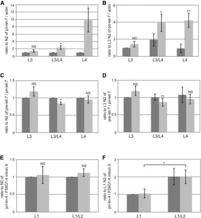 Effect of KIN-20 on microRNA biogenesis. Total RNA samples from synchronized WT N2 and kin-20(ok505) mutant worms that were analyzed for mature let-7 and mature lin-4 in Figs. 3 and 4 respectively were also analyzed for pri-let-7 (A-B), pre-let-7 (C-D), and pri-lin-4 (E-F). The average and s.e.m. of RNA levels from 6 (A-D) or 7 (E-F) independent experiments after normalization to actin mRNA (A-B), pri-let-7 levels (C-D), or F59G1.4 intron 9 are shown and were analyzed by Student’s t-tests (*, P < 0.05; **, P < 0.005). NS equals non-significant. Levels are shown relative to WT N2 at all time points (A,C,E) or specifically to WT N2 at the L3 stage (B,D) or L1 stage (F).