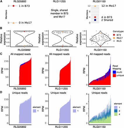 Segregation of TE expression in three LTR families across recombinant inbred lines (RILs). A. The number of annotated and shared members in B73 and Mo17 are shown. B. The relative expression of TE families in B73 (red dot), Mo17 (orange triangle), and the distribution of values across 107 RILs (violin plot). C. RPM values for each library are ranked by total expression and colored by unique or multi-mapping. D. Unique mapping reads for each library are ranked as in C. and colored by the element where the read mapped.