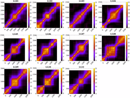 Heat map of the marker linkage relationships in each LG. The plots show the LOD relationship among loci. X- and Y-axes represent the polymorphic ddRAD loci ordered by the linkage map.