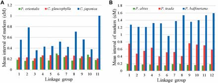 The comparison of average map distances among high-density linkage maps in conifer species. A) The average distance among adjacent markers mapped for P. orientalis and two other Cupressaceae species. B) The average distance among adjacent markers mapped for three Pinaceae species.