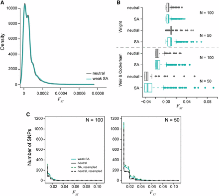 The distribution of per locus FST values generated from simulated populations after 1000 generations of evolution. A) The density of male-female FST values for a population of 10,000 individuals is centered around FST = 0.0005. The neutral (gray) and sexually antagonistic (teal) simulations were similar but statistically significantly different. B) The distribution of male-female FST values when subsampling the full populations to either 100 individuals or 50 individuals with equal sex ratios. Divergence values were calculated using the theoretical derivation (Equation 4) and Weir and Cockerham’s FST. Subsampling increases the tail of the distribution substantially. The sexually antagonistic simulations are significantly different from the neutral simulations due to an increased sampling variance in the sexually antagonistic scenario. C) Cumulative distribution curves of per-locus male-female FST values, both between random samples from the two sexes (solid lines) and between sets of individuals chosen randomly independently of sex (dotted lines). Male-female FST distributions differed between neutral (gray) and antagonistic (teal) simulations but were not higher for between-sex comparisons, showing that higher FST values in the antagonistic simulation was not directly due to selection.