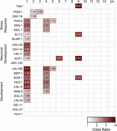 Enrichment of transcription factor target genes in coexpression modules. Each box represents the degree to which the targets of a given transcription factor (rows) are enriched within a given co-expression module (columns). Red outlines signify that there is significant enrichment of target genes in the module (FDR < 0.05). Transcription factors are roughly grouped by functional category. The intensity of the shading indicates the odds ratio for the set.